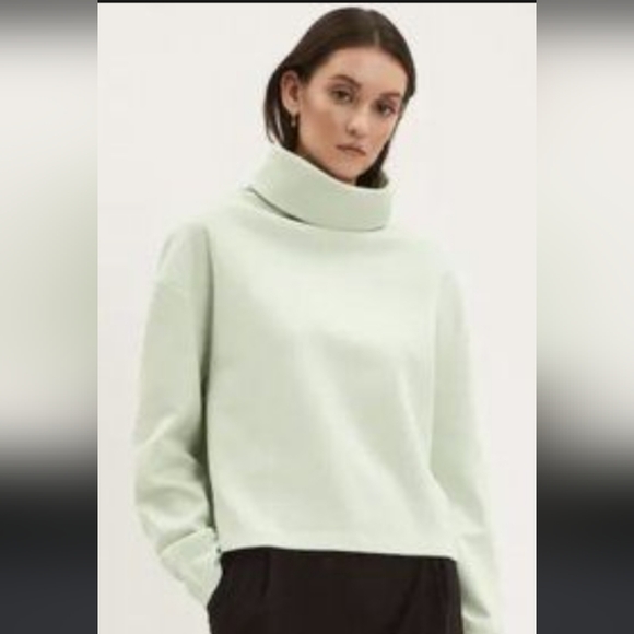 Frank & Oak Tops - Frank & Oak mint green turtleneck Frank & Oak mint green turtleneck in EUC (worn